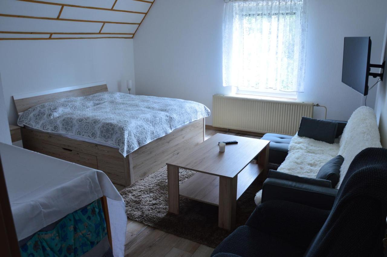 Horsky Apartman Pod Zelenou Strechou Bartosovice v Orlickych Horach Exterior photo
