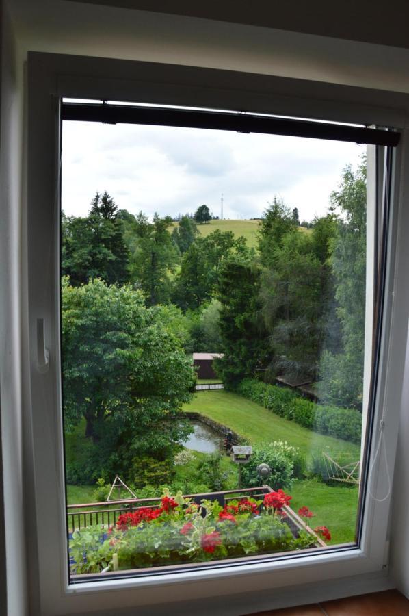 Horsky Apartman Pod Zelenou Strechou Bartosovice v Orlickych Horach Exterior photo